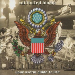 Your Useful Guide To Life album cover
