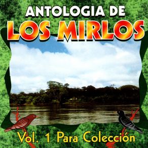 Antologia De Los Mirlos album cover