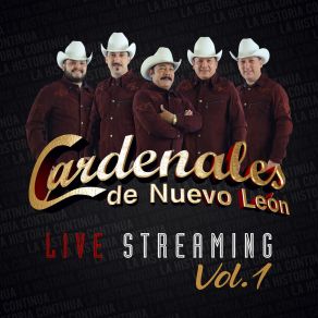 Live Streaming, Vol. 1 album cover