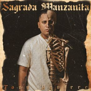 Sagrada Manzanita album cover