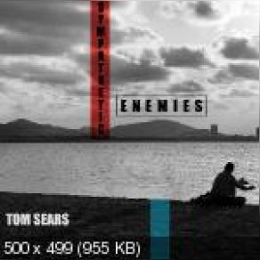 Sympathetic Enemies (Single) album cover
