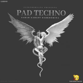 Pad Techno (Original Mix) album cover