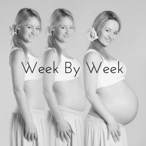 Week By Week: Pregnancy Music For Expectant Mother album cover