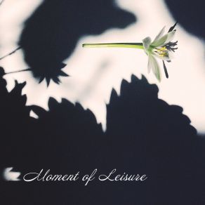 Moment Of Leisure: Chill, Rest And Relax With Music album cover
