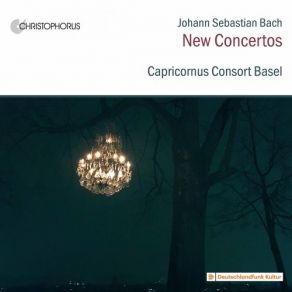 New Concertos album cover