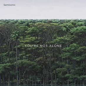 You're Not Alone album cover