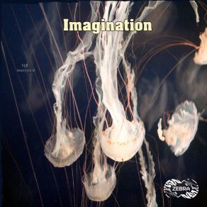 Imagination album cover