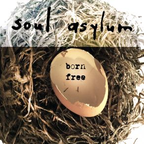 Born Free (Acoustic) album cover