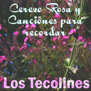 Cerezo Rosa Y Canciones Para Recordar album cover