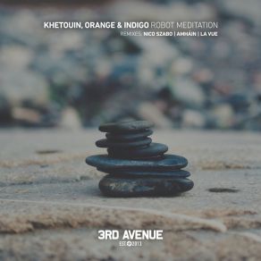 Robot Meditation album cover