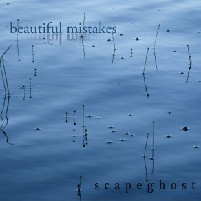 Beautiful Mistakes album cover