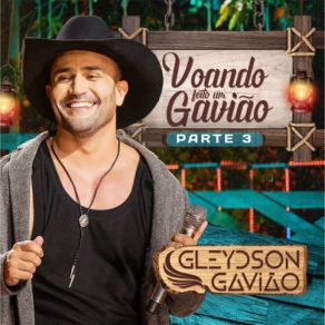 Voando Feito Um Gavião - Pt. 3 album cover