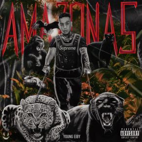 Amazonas album cover