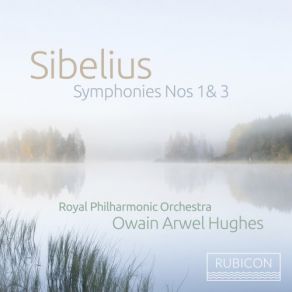 Sibelius: Symphonies Nos. 1 & 3 album cover