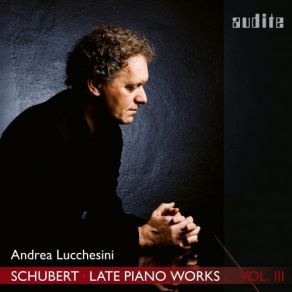 Schubert: Late Piano Works, Vol. 3 (Andrea Lucchesini Plays Schubert's Piano Sonatas Nos. 18 & 19) album cover