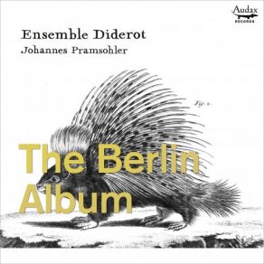 The Berlin Album album cover