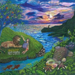 Not Earth album cover