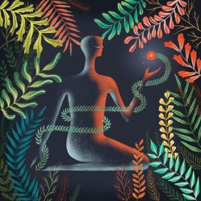 Don't Shy Away album cover