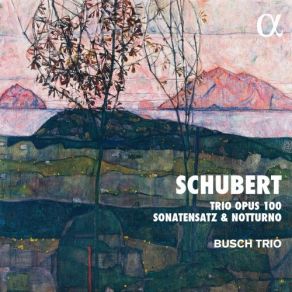 Schubert: Trio Opus 100, Sonatensatz & Notturno album cover