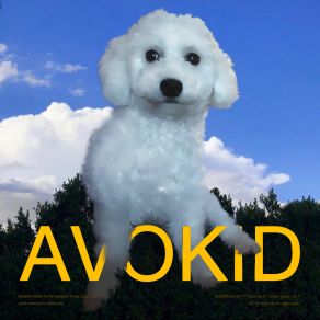 ?! album cover