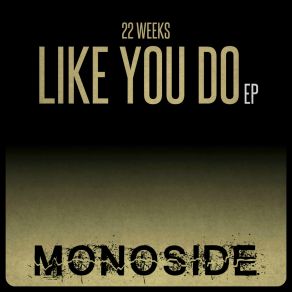 Like You Do album cover