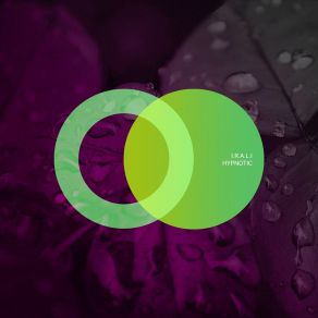 Hypnotic album cover