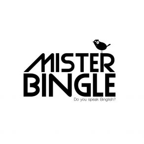Do You Speak Binglish? album cover