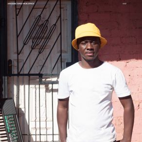 Amapiano Selections album cover