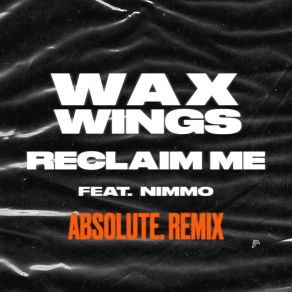 Reclaim Me (ABSOLUTE. Remix) album cover