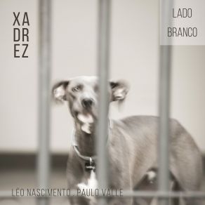 Xadrez - Lado Branco album cover