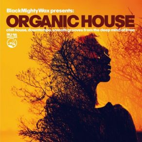 Organic House (Chill House, Downtempo, Smooth Grooves From The Deep Mind Of Irma) album cover