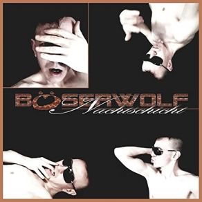 Nachtschicht album cover