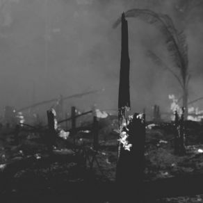 Devastated Earth album cover