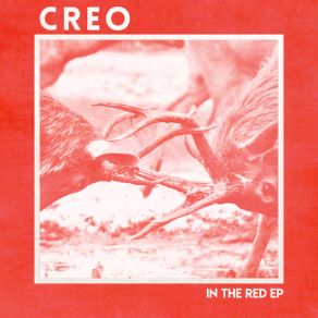 In The Red album cover