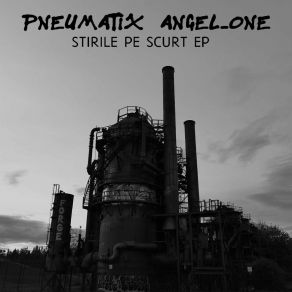 Stirile Pe Scurt album cover