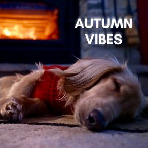 Autumn Vibes album cover