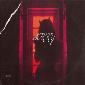 Sorry album cover