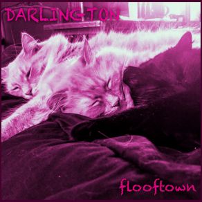 Flooftown album cover