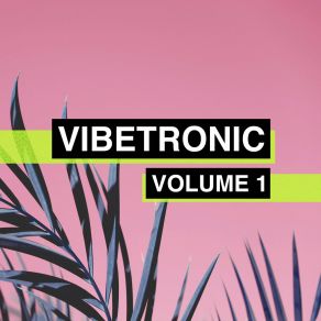 Vibetronic, Vol. 1 album cover