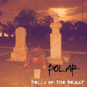 Belly Of The Beast album cover