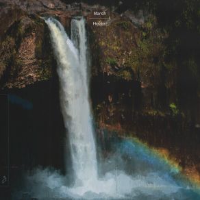 Healer album cover