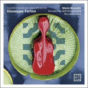 Tartini: Concerti E Sonate Per Violoncello Piccolo album cover