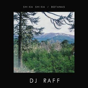 Shika Shika / Botanas album cover