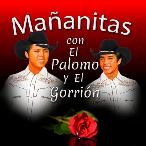 Mañanitas Con El Palomo Y El Gorrión album cover