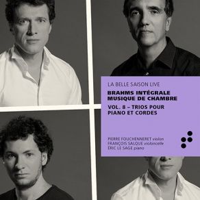 Brahms: Trios Pour Piano Et Cordes (Intégrale Musique De Chambre), Vol. 8 album cover
