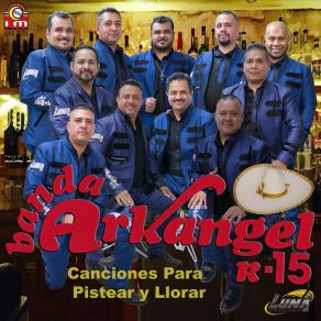 Canciones Para Pistear Y Llorar album cover
