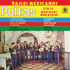 Polkas Bailes Mexicanos album cover