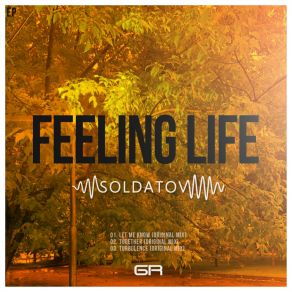 Feeling Life album cover