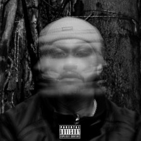 Reichtum album cover