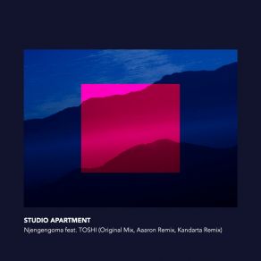 Njengengoma album cover